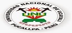 logo de Universidad Nacional de Ucayali - UNU