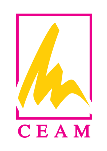 Centro de Altos Estudios de la Moda - CEAM | Carreras | Matrícula 2021