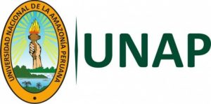 https://estudiaperu.pe/wp-content/uploads/2020/04/UNAP-Logo-300x149.jpg;Universidad Nacional de la Amazonía Peruana;UNAP;unap;examen-de-admision-resultados-unap;https://admisionperu.com/wp-content/uploads/examen-de-admision-resultados-unap.jpg;https://admisionperu.com/unap-abrir/